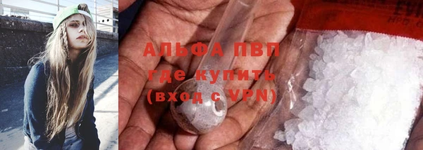 сатива Бронницы