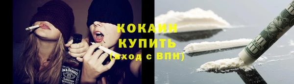 сатива Бронницы