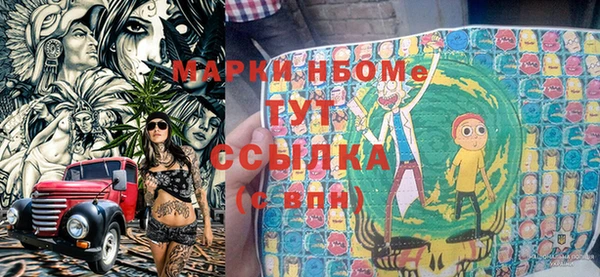 сатива Бронницы