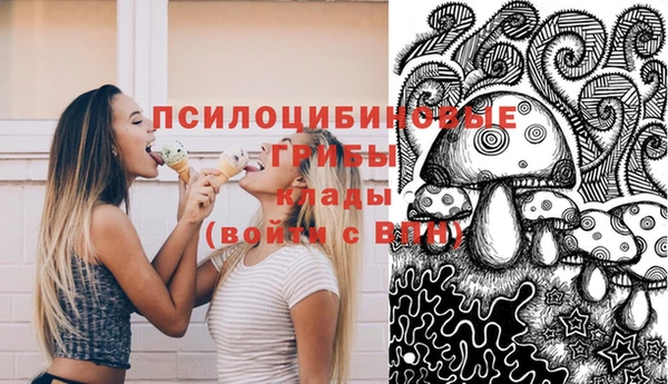 сатива Бронницы