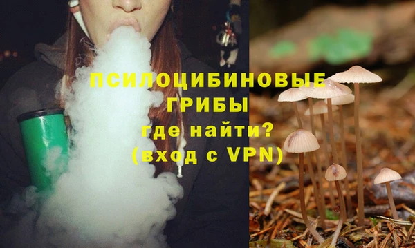 наркотики Бородино