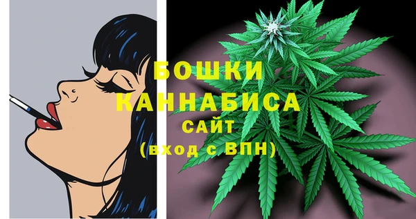apvp Бугульма