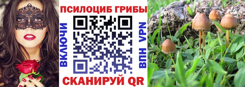 Купить закладки  Волжск  Псилоцибиновые грибы Magic Shrooms 